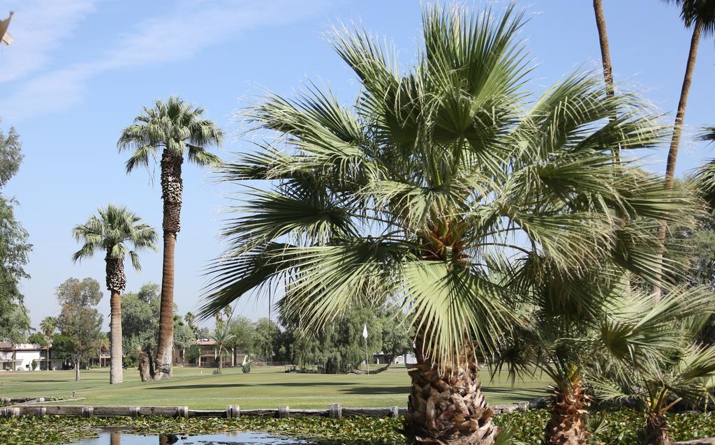 Barbara Worth Golf Resort Holtville Kültér fotó